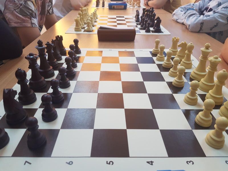 Домаћини шаховског турнира